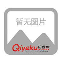 供應(yīng)全線路安全保護(hù)無級(jí)調(diào)溫多溫區(qū)雙人電熱毯